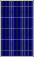 Amerisolar 280w, poly